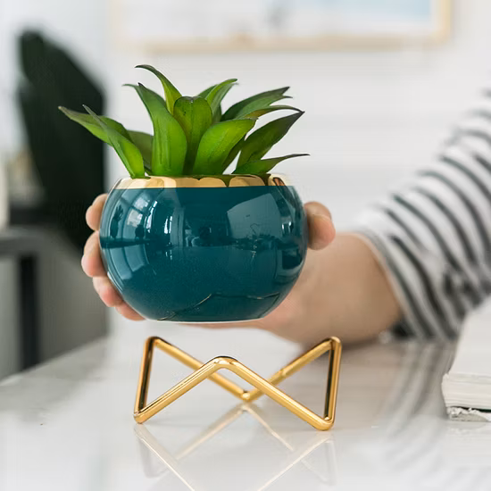 Hand-Painted Indoor Garden Cute Mini Flower Plant Cactus Succulent Pot with Metal Stand