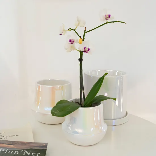 Ins Amazon Hot Sale Wedding Decoration Planters Pot Ceramic Pearl White Glazed Orchid Pot